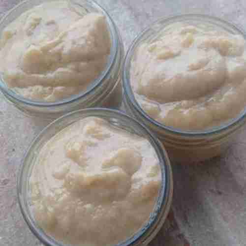 Cream Gel Life of Fermented Fervent Microrganisms