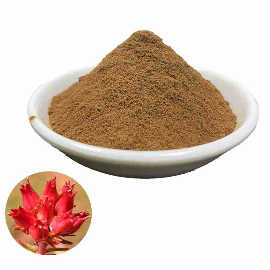 Rhodiola Rhodiola Rosea Siberian Dry Root - Powder