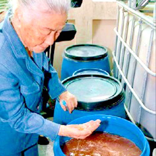 Fermented Fervent - Grapefruit - Effective micro-Organisms 7 years