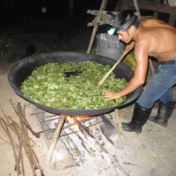 mambe-Ypadu-tostatura