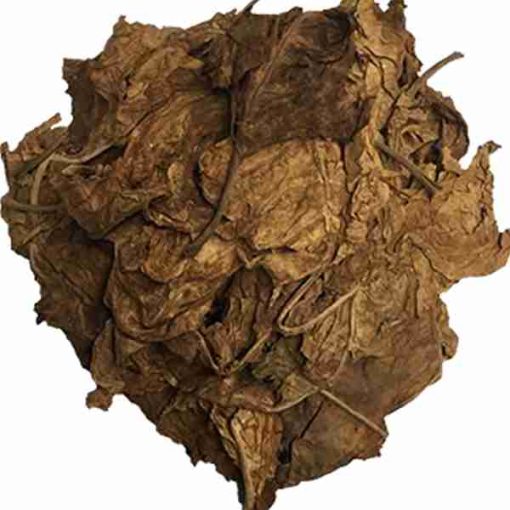 Mapacho-Foglie-nicotiana-rustica