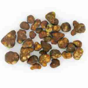 Tartufi Magici Hollandia