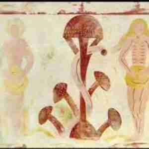 Amanita-Muscaria-adamo-eva-croce