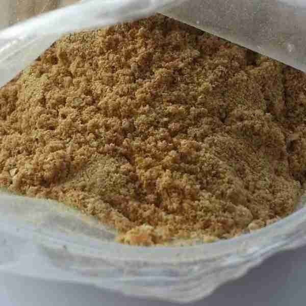 Amanita-muscaria-polvere