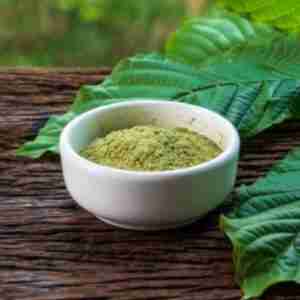 Kratom-Green-Maeng-Da-Mitragyna-Speciosa-2