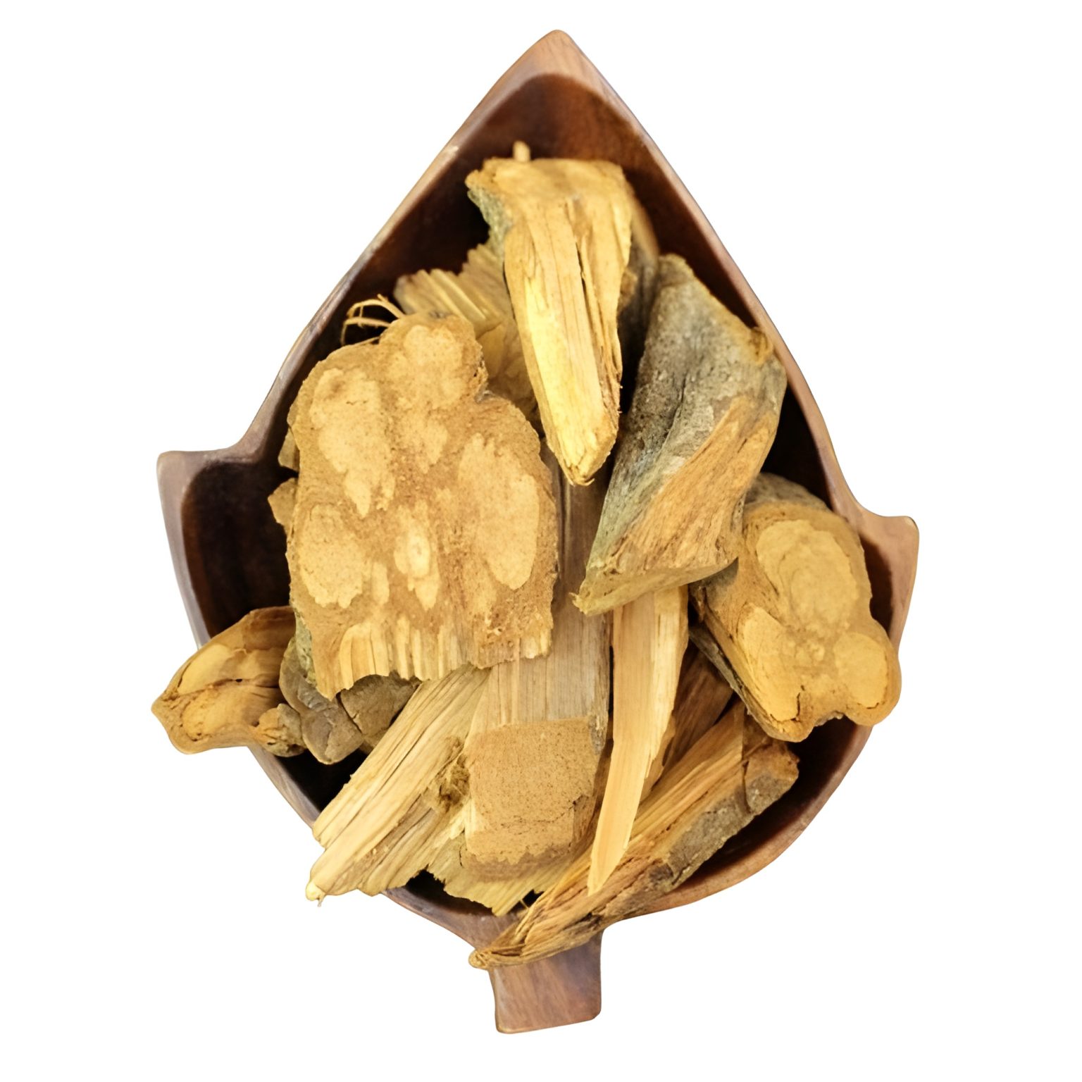 Banisteriopsis Caapi Red – Liana Sacra per Visione e Guarigione del Cuore